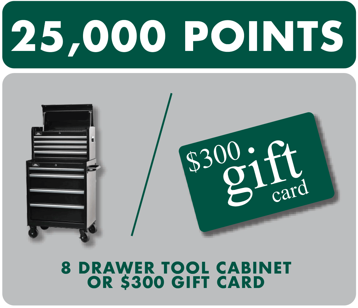 $300 gift card or tool cabinet prize